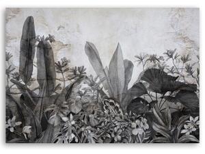Obraz na plátně, Černé a bílé listy na pozadí betonu - 120x80 cm