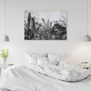 Obraz na plátně, Černé a bílé listy na pozadí betonu - 100x70 cm