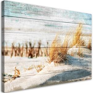 Obraz na plátně, Dune pláž na dřevě - 120x80 cm