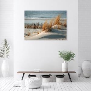 Obraz na plátně, Dunes u moře - 60x40 cm