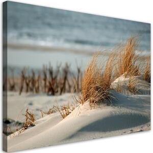 Obraz na plátně, Dunes u moře - 120x80 cm
