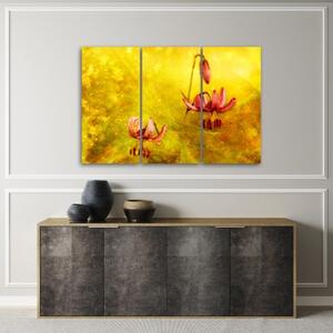 Obraz na plátně třídílný, Zaskacené tulipásy květin - 60x40 cm
