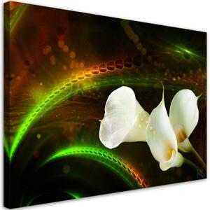 Obraz na plátně, Bílý květ na hnědém pozadí - 90x60 cm