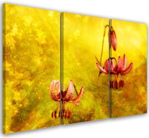 Obraz na plátně třídílný, Zaskacené tulipásy květin - 90x60 cm
