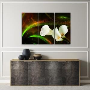Obraz na plátně třídílný, Bílý květ na hnědém pozadí - 120x80 cm