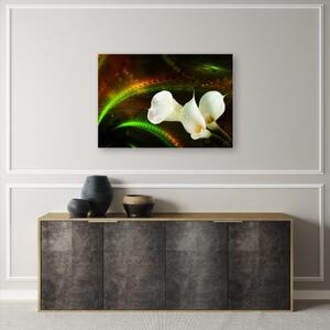 Obraz na plátně, Bílý květ na hnědém pozadí - 60x40 cm