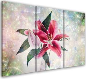 Obraz na plátně třídílný, Pink Lily - 90x60 cm