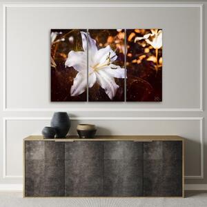 Obraz na plátně třídílný, Bílá Lily na hnědém pozadí - 90x60 cm