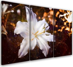 Obraz na plátně třídílný, Bílá Lily na hnědém pozadí - 150x100 cm