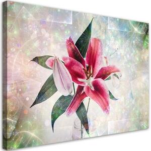 Obraz na plátně, Pink Lily - 90x60 cm