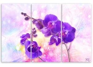 Obraz na plátně třídílný, Fialová orchidej - 90x60 cm