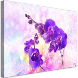 Obraz na plátně, Fialová orchidej - 90x60 cm