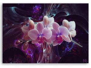 Obraz na plátně, Bílá orchidej na tmavém pozadí - 60x40 cm