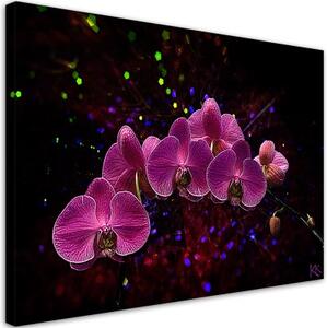 Obraz na plátně, Orchidej na temném pozadí - 120x80 cm
