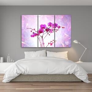 Obraz na plátně třídílný, Základní orchidej - 150x100 cm