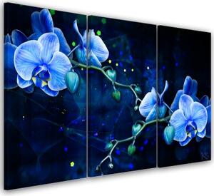 Obraz na plátně třídílný, Modrý orchidej - 90x60 cm