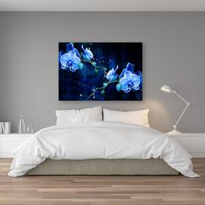Obraz na plátně, Modrý orchidej - 60x40 cm