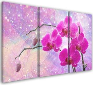Obraz na plátně třídílný, Základní abstrakce orchidejí - 90x60 cm