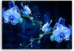 Obraz na plátně, Modrý orchidej - 60x40 cm