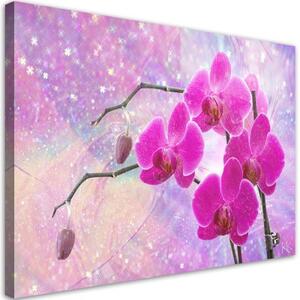 Obraz na plátně, Základní abstrakce orchidejí - 90x60 cm