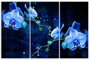Obraz na plátně třídílný, Modrý orchidej - 150x100 cm