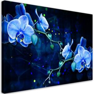 Obraz na plátně, Modrý orchidej - 120x80 cm