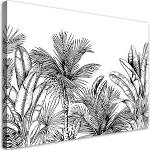 Obraz na plátně, Černé a bílé listy - 90x60 cm