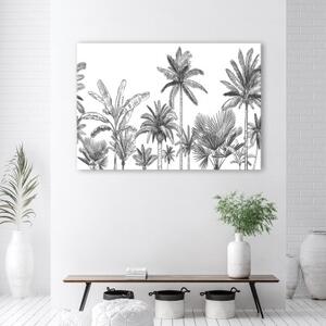 Obraz na plátně, Černé a bílé palmy - 60x40 cm