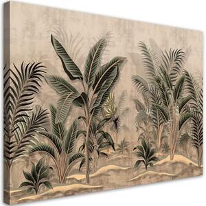 Obraz na plátně, Tropický deštný prales - 60x40 cm