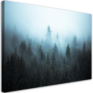 Obraz na plátně, Les v mlze - 60x40 cm