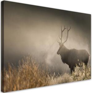 Obraz na plátně, Jeleń v přírodě mlhy - 120x80 cm