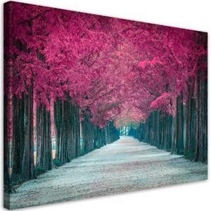 Obraz na plátně, Avenue růžových stromů - 90x60 cm