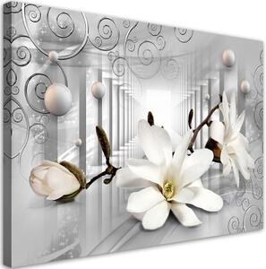Obraz na plátně, Květiny v tunelu a stříbrných 3D koulích - 90x60 cm