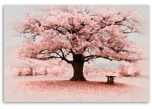 Obraz na plátně, Příroda abstrakce růžového stromu - 60x40 cm