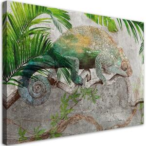 Obraz na plátně, Chameleon na větvi džungle - 100x70 cm