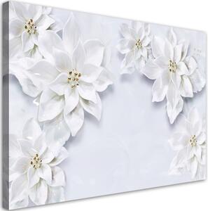 Obraz na plátně, Zasněžené bílé květy rostliny - 90x60 cm