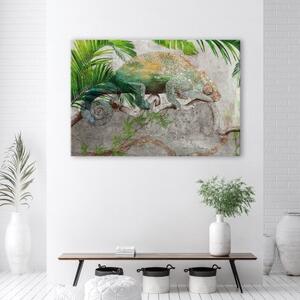 Obraz na plátně, Chameleon na větvi džungle - 120x80 cm