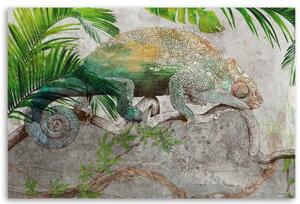 Obraz na plátně, Chameleon na větvi džungle - 60x40 cm