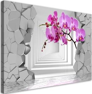 Obraz na plátně, Orchidej na abstraktním 3D pozadí - 120x80 cm