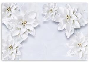 Obraz na plátně, Zasněžené bílé květy rostliny - 100x70 cm