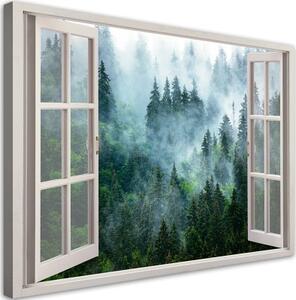 Obraz na plátně, Okno zeleného lesa v přírodě mlhy - 90x60 cm