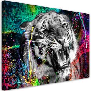 Obraz na plátně, Tygří zvířecí povaha - 120x80 cm