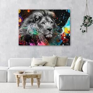 Obraz na plátně, Lev na barevném pozadí - 60x40 cm
