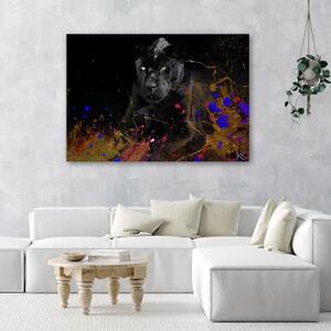 Obraz na plátně, Černý leopard na barevném pozadí - 60x40 cm
