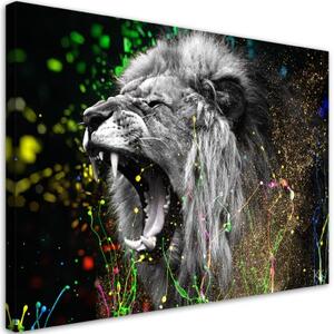 Obraz na plátně, Lví příroda zvířat - 90x60 cm