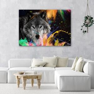 Obraz na plátně, Vlk na barevném pozadí - 60x40 cm