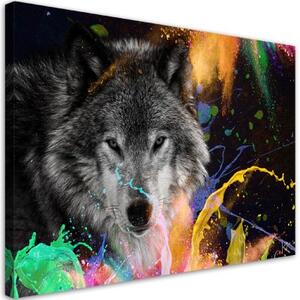 Obraz na plátně, Vlk na barevném pozadí - 120x80 cm