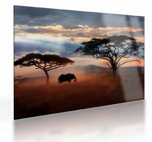 Skleněný obraz - Národní park Serengeti, Tanzánie, Afrika (70x50 cm)