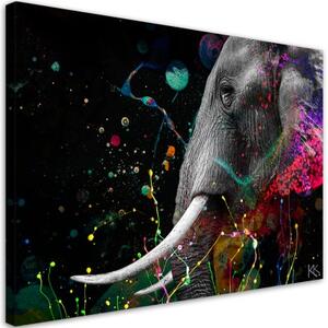 Obraz na plátně, Africká abstrakce slonů - 90x60 cm