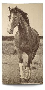Dětská osuška Veba ZARA Kůň s lysinkou béžovohnědá Velikost: 75x150 cm